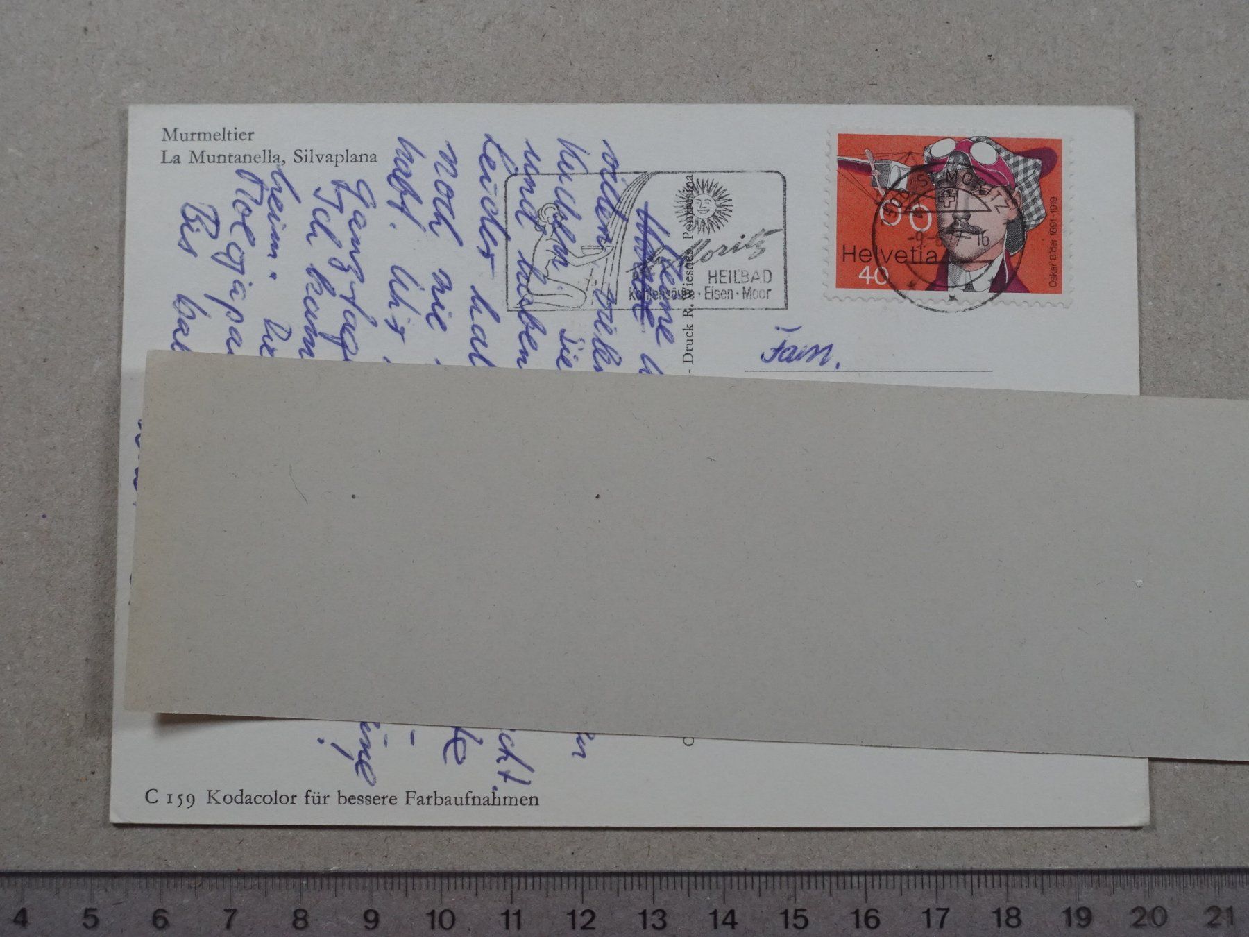 Cartoline postali: Murmeltier, La Muntanella, Silvaplana, 1977 – Usato da Lenzburg venduto da fh1 1
