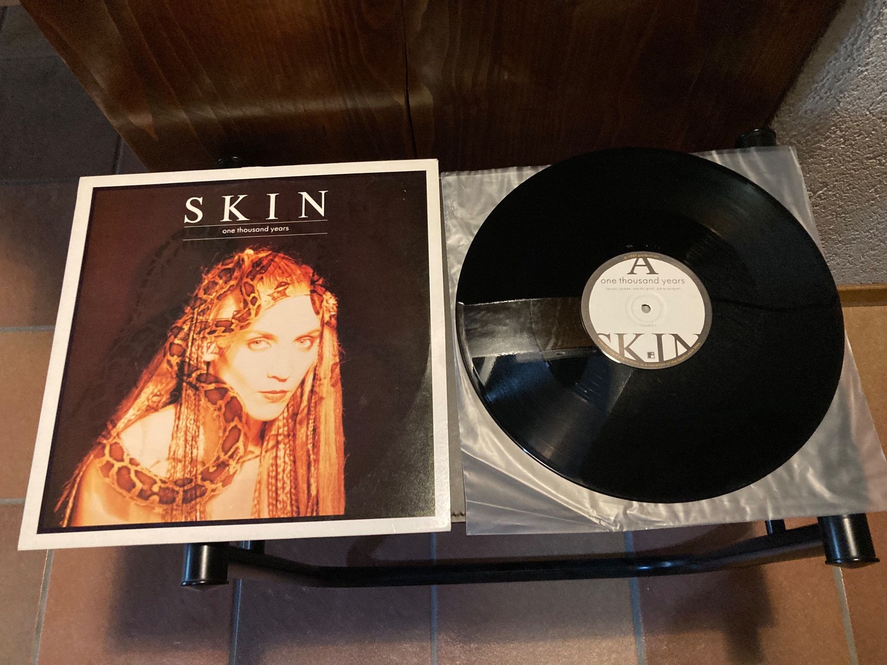 Dischi in vinile: Skin - One Thousand Years – Usato da Fribourg venduto da Karushi