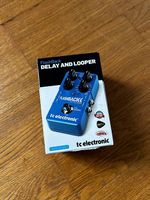 TC Electronic Flashback Delay Looper