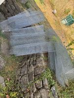 Gitterzaun/ Drahtgitter