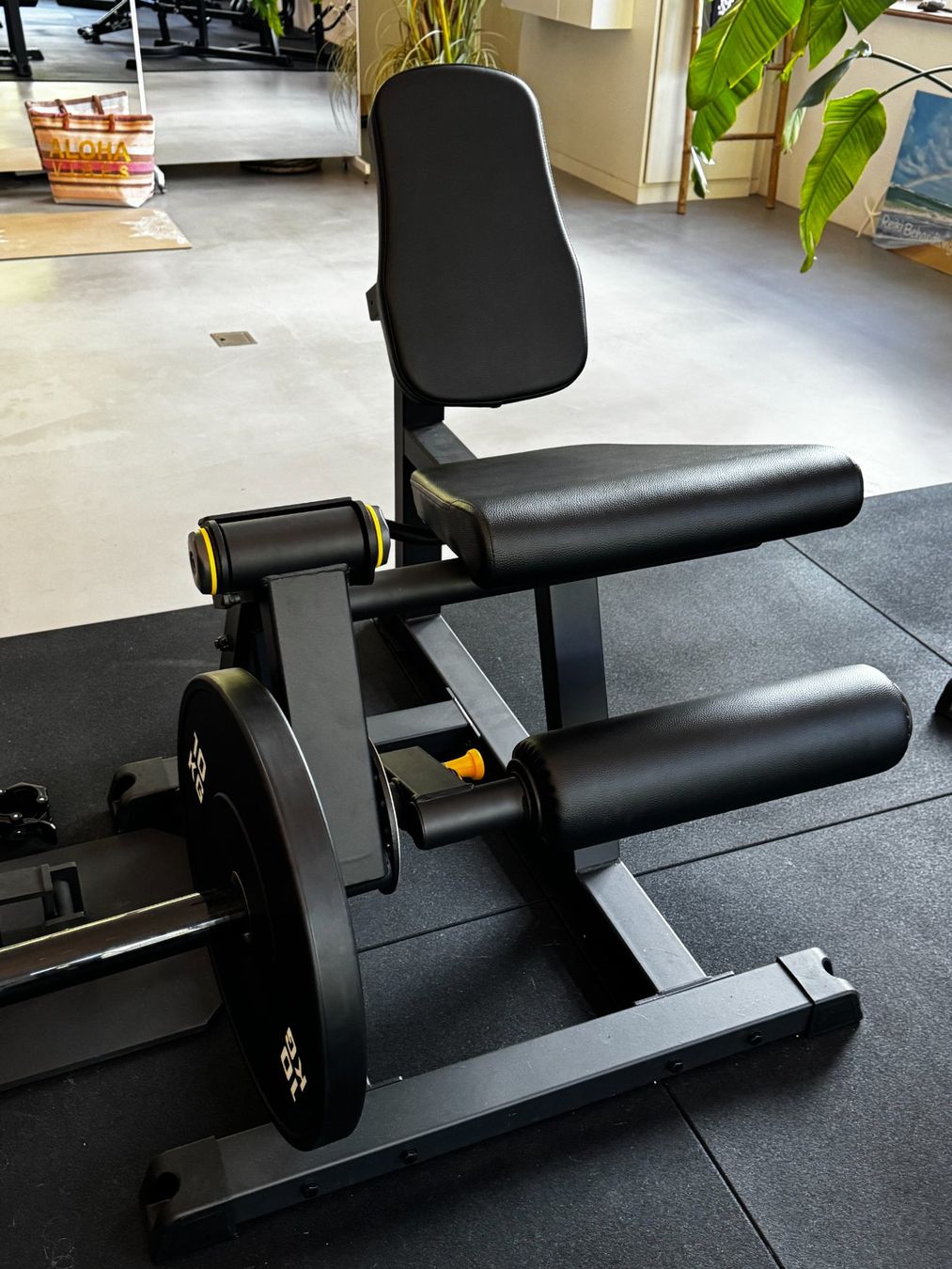 Hometrainer: Kraftgerät "Leg Extention" Oberschenkel - Beinstrecker – Neu (gemäss Beschreibung) aus Rüti ZH von HawaiiLove 1