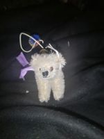 Steiff Miniatur Bärli, Sammlerstück, Rarität! 🧸