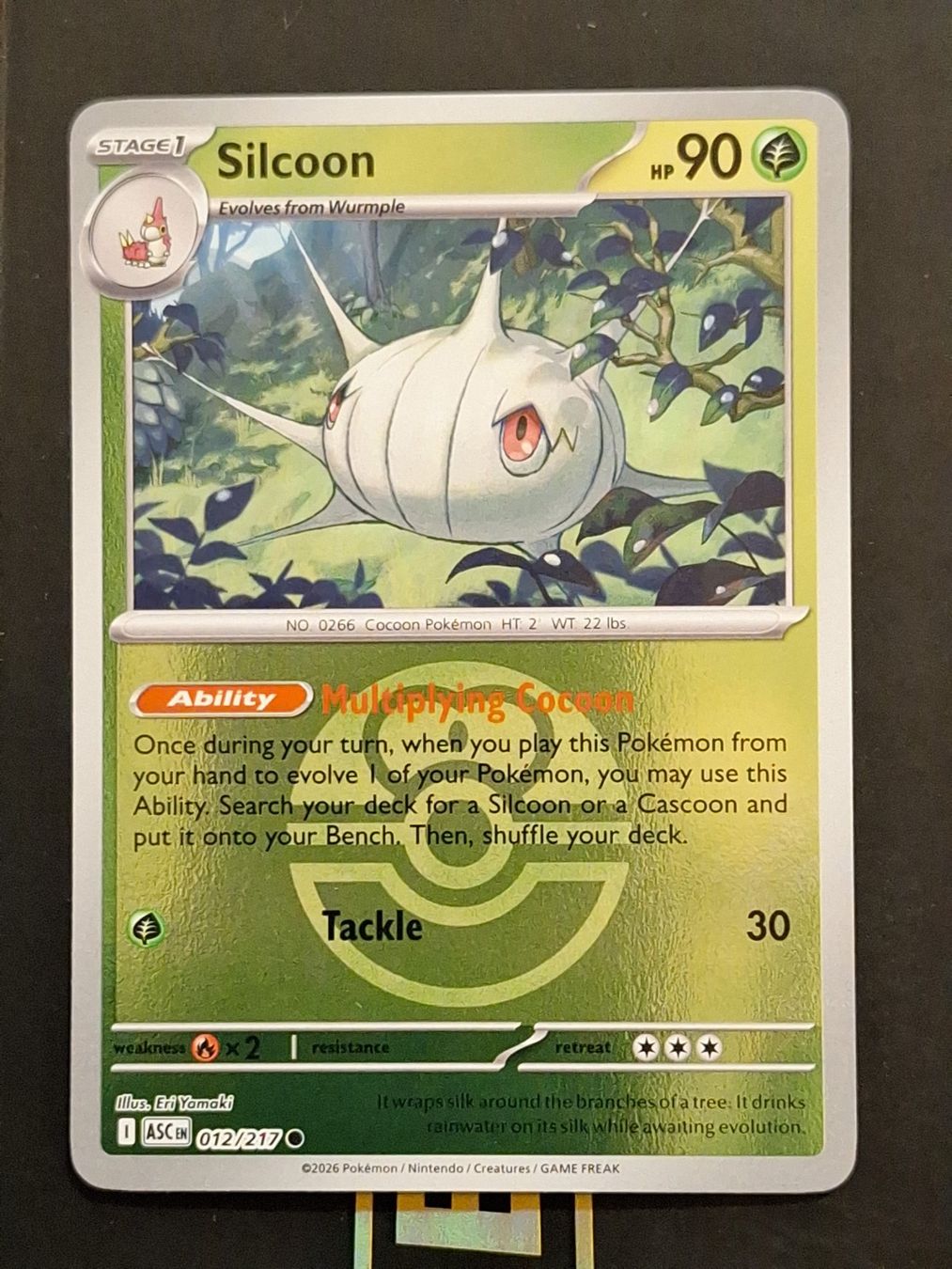 Pokémon Carte collezionabili: Silcoon - Reverse Holo Ball - Pokemon Ascended Heroes – Usato da Altstätten SG venduto da GGsGameshop