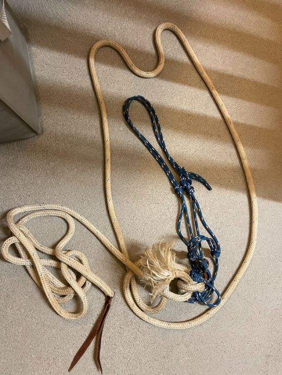 Le mors hackamore en épreuve CSO à partir d'un mètre, en