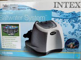 Intex Krystal Clear Saltwaster System CG-26668