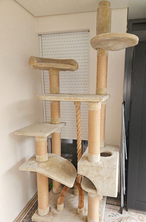 nassfutter spender katzen Programmierbarer Futterautomat mit 2 Edelstahlnpfen  5L  pandaloo.ch