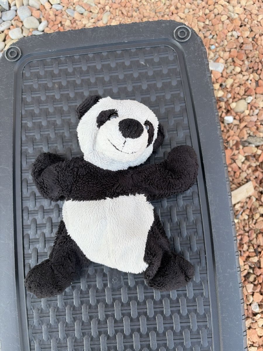 Jouets: Stofftier Panda guter Zustand – D'occasion à Opfershofen TG par dan_nxk8