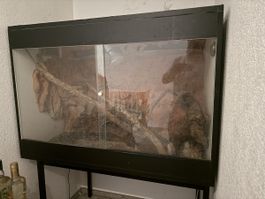 Terrarium mit Rückwand und Beleuchtung gebrauchter Zustand