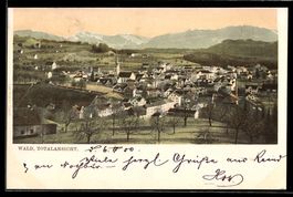 AK Wald, Totalansicht mit Gebirge im Hintergrund