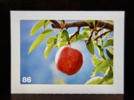 MIGROS MANIA Nature Detectives Nr. 86