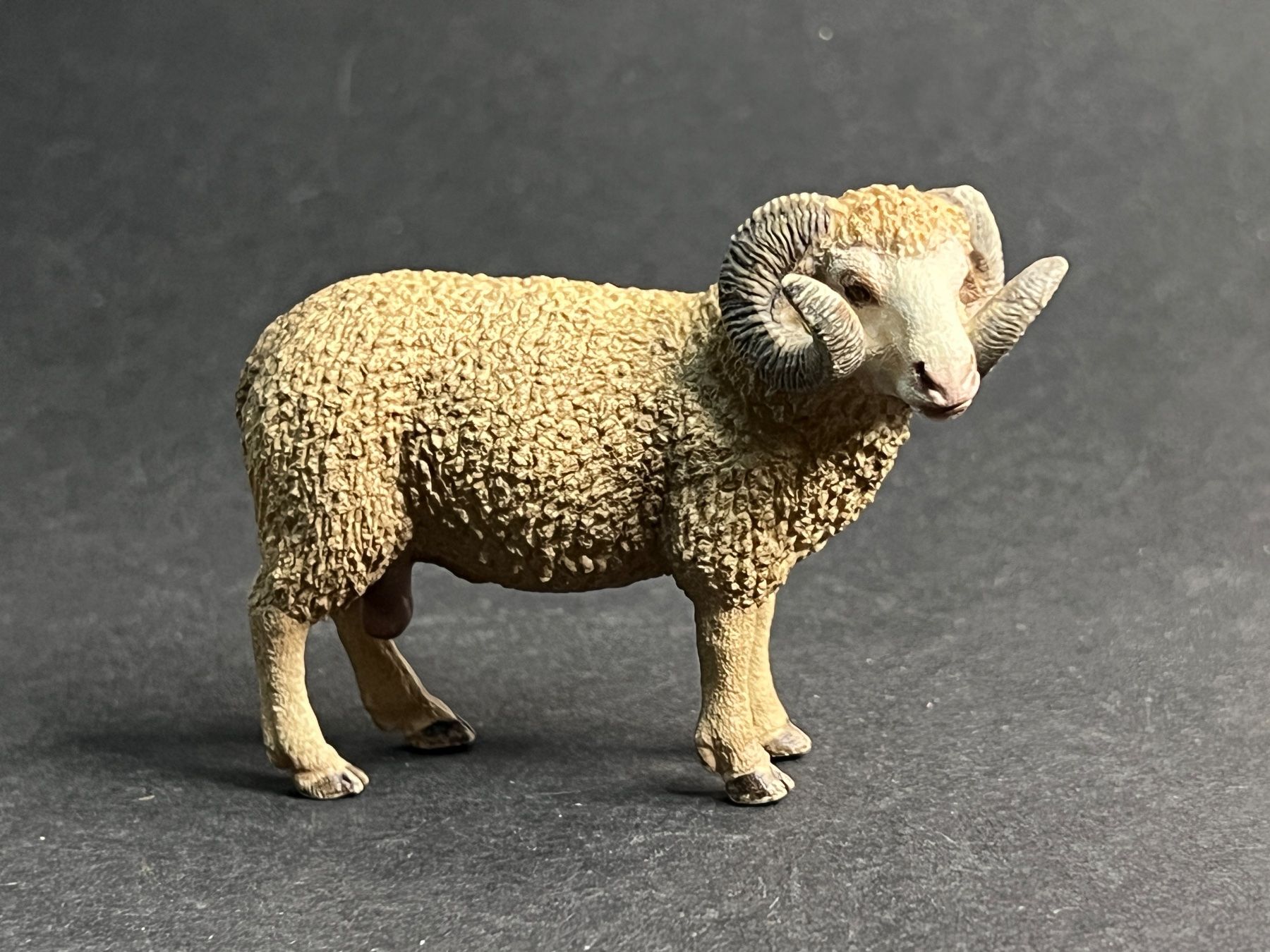 Schleich Figuren: Tolle Schleich Schafe Schaf Widder Lamm Bock Schafherde – Gebraucht aus Ennetbaden von mapa05 4