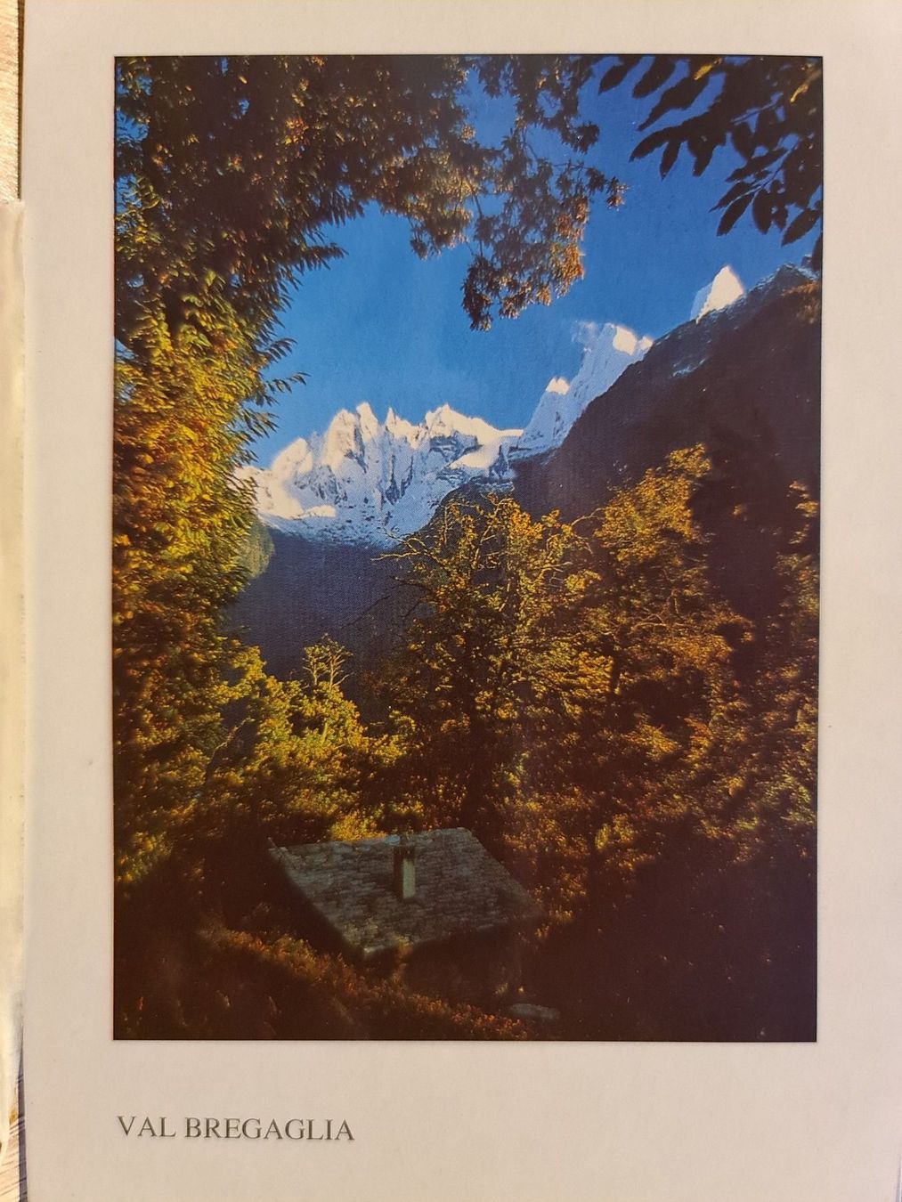 Cartoline postali: Ansichtskarte Val Bregaglia – Usato da Dintikon venduto da Vexi
