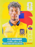 Panini FIFA World Cup ECU 19