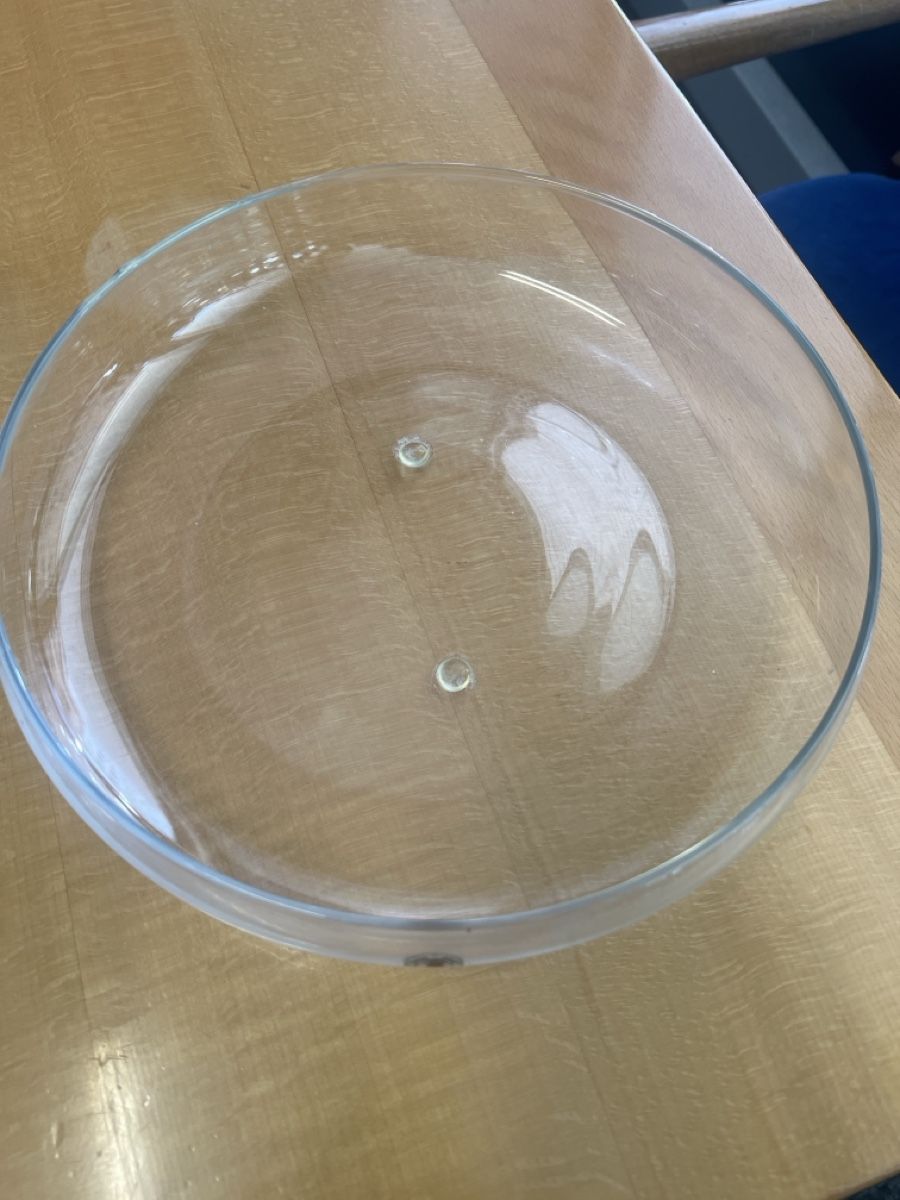 Ciotole: Dekorative Glasschale, Durchmesser 24cm, Höhe  – Usato da Rorschach venduto da TrendyDeals 1