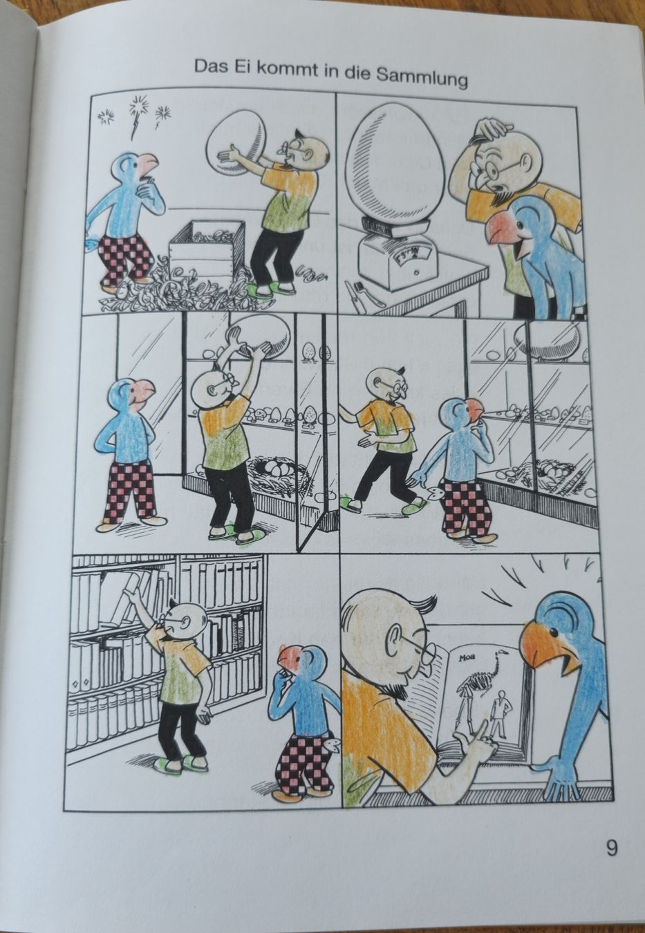 Libri: Göobi und der Madagaskar- Vogel – Usato da Hinwil venduto da Wo-ma14 1