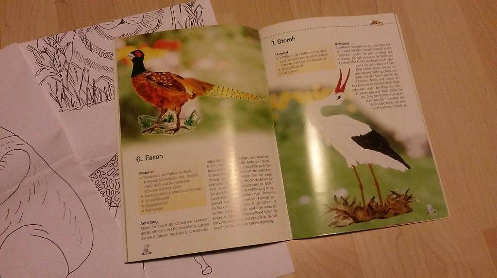 Libri: Basteln: Buch Window Color Tiermotive, mit Vorlagebogen – Nuovo (secondo la descrizione) da Seewil venduto da HevySchluep 3