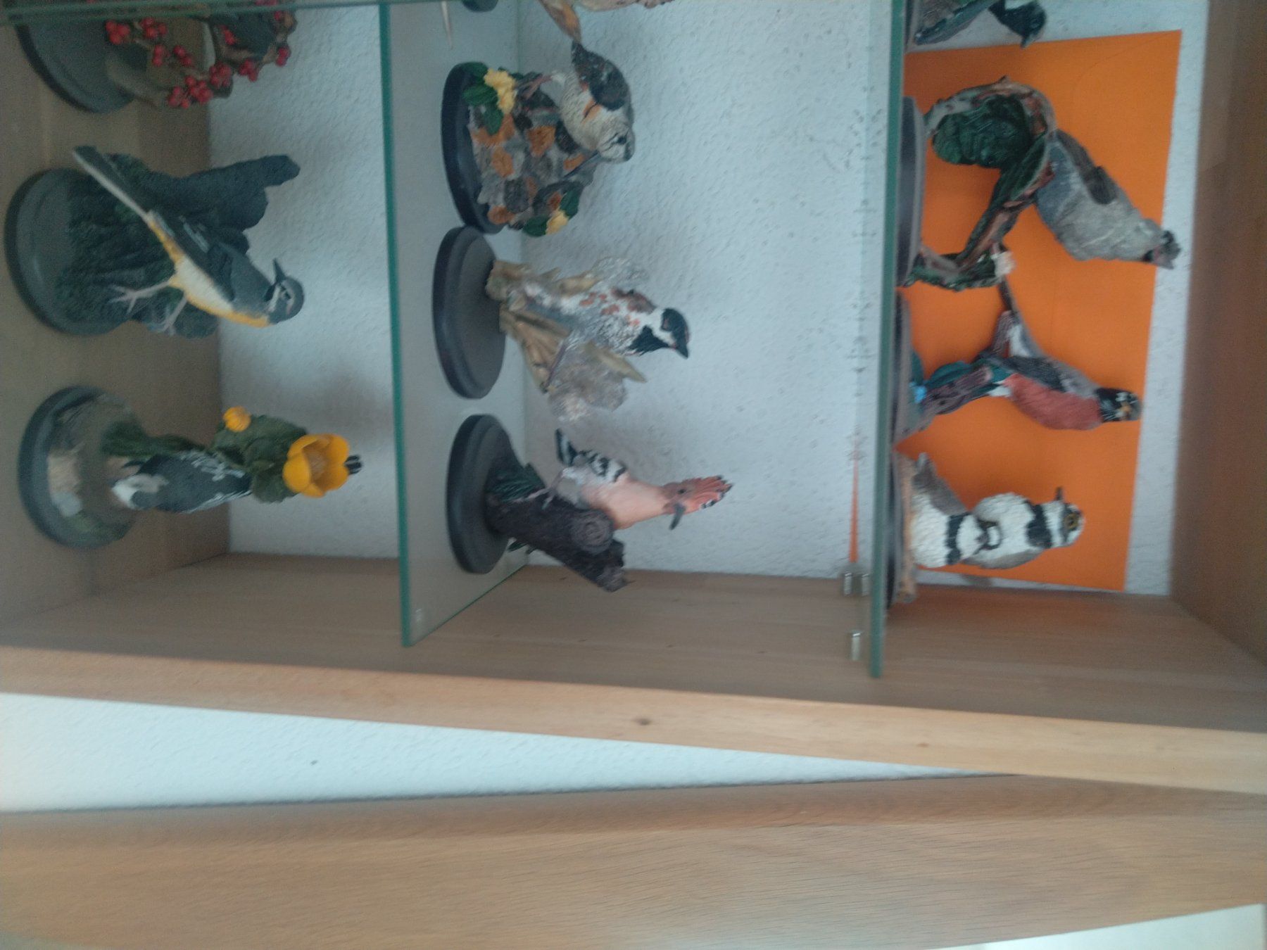 Tutte le decorazioni: A vendre collection de 80 oiseaux – Usato da Tramelan venduto da and_j8tk 4