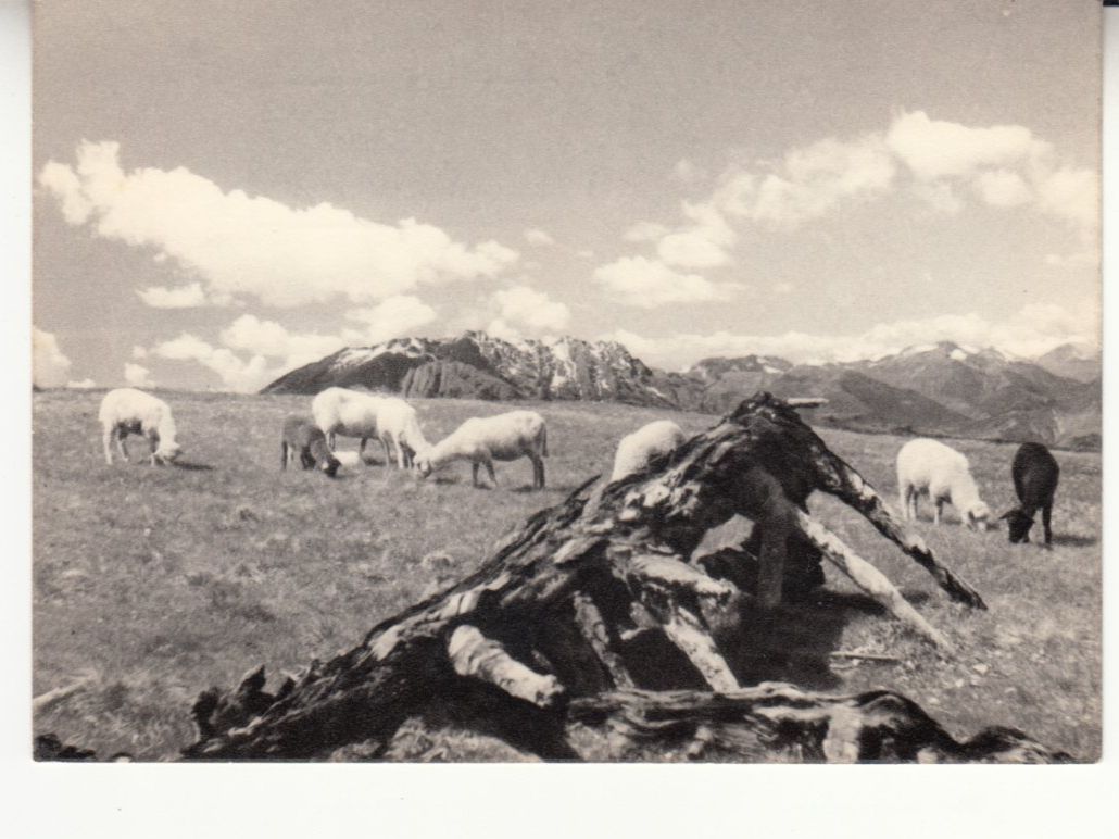 Cartoline postali: Cimetta ca. 1950 – Usato da Bürglen TG venduto da StampGraf
