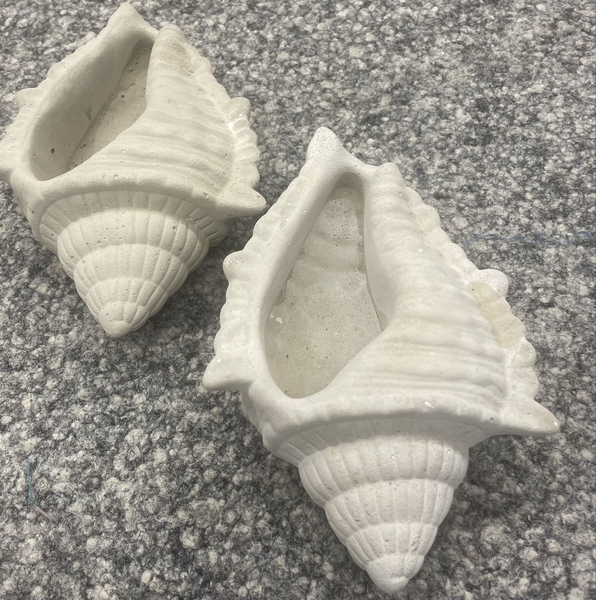 Vasi per fiori: 2 Muschel-Übertopfe/Dekoartikel ,Vase – Nuovo e nell'imballaggio originale da Au ZH venduto da Jaggy4 3