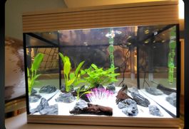 Aquarium avec décorations et lumière bleue - parfait!