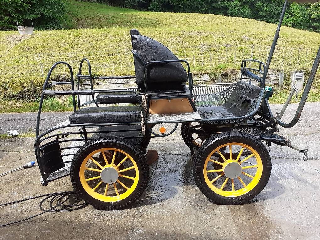 Calèches: Marathonwagen – D'occasion à Wohlen b. Bern par chrige84 1