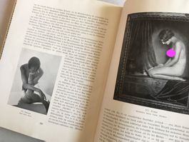 🟡antik Buch Die Weiberherrschaft Band IIII - 1930 EROTIK