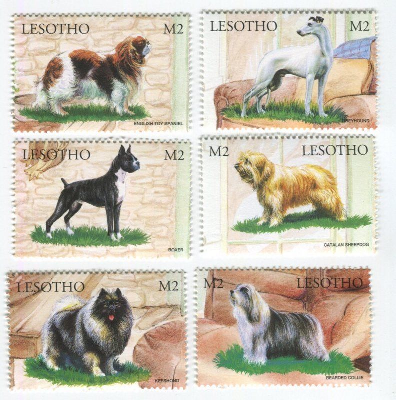 Tutti i francobolli: Briefmarken "Hunde". Lesotho – Nuovo e nell'imballaggio originale da Basel venduto da Butsch5