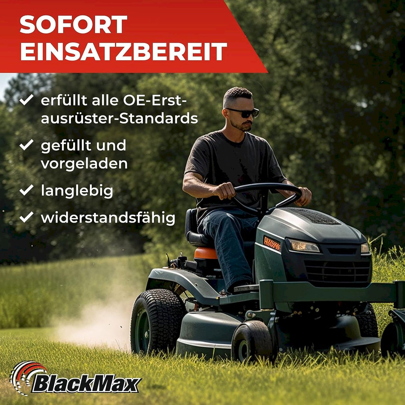 Batterie: BlackMax U1R 12V 32Ah – Nuovo e nell'imballaggio originale da Bottighofen venduto da zaap 4