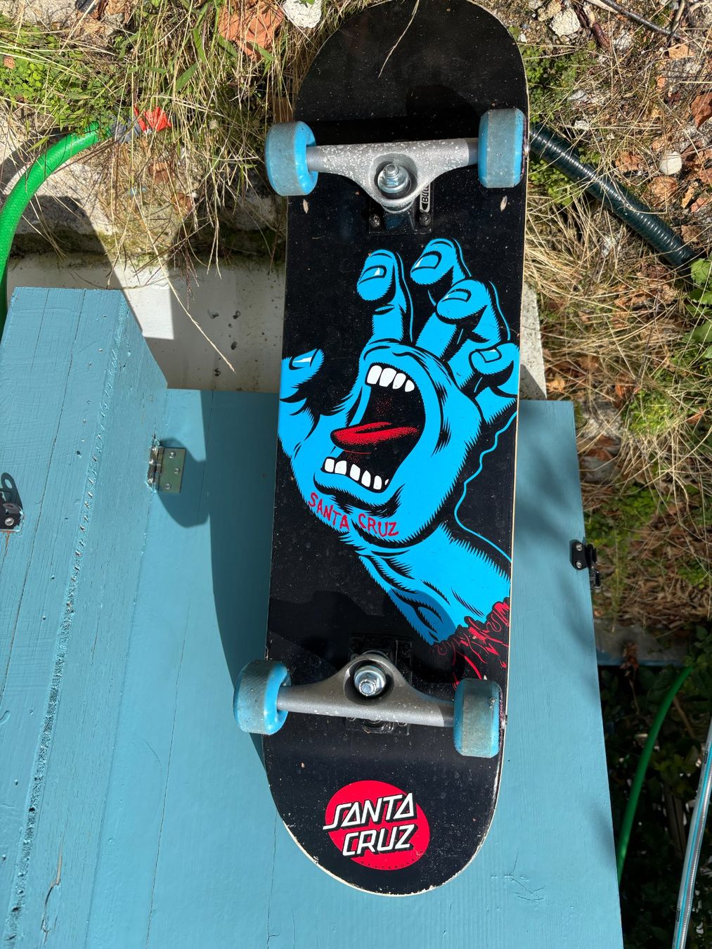 Santa Cruz Skateboards: Skateboard – Gebraucht aus Cernier von Sakura1 1