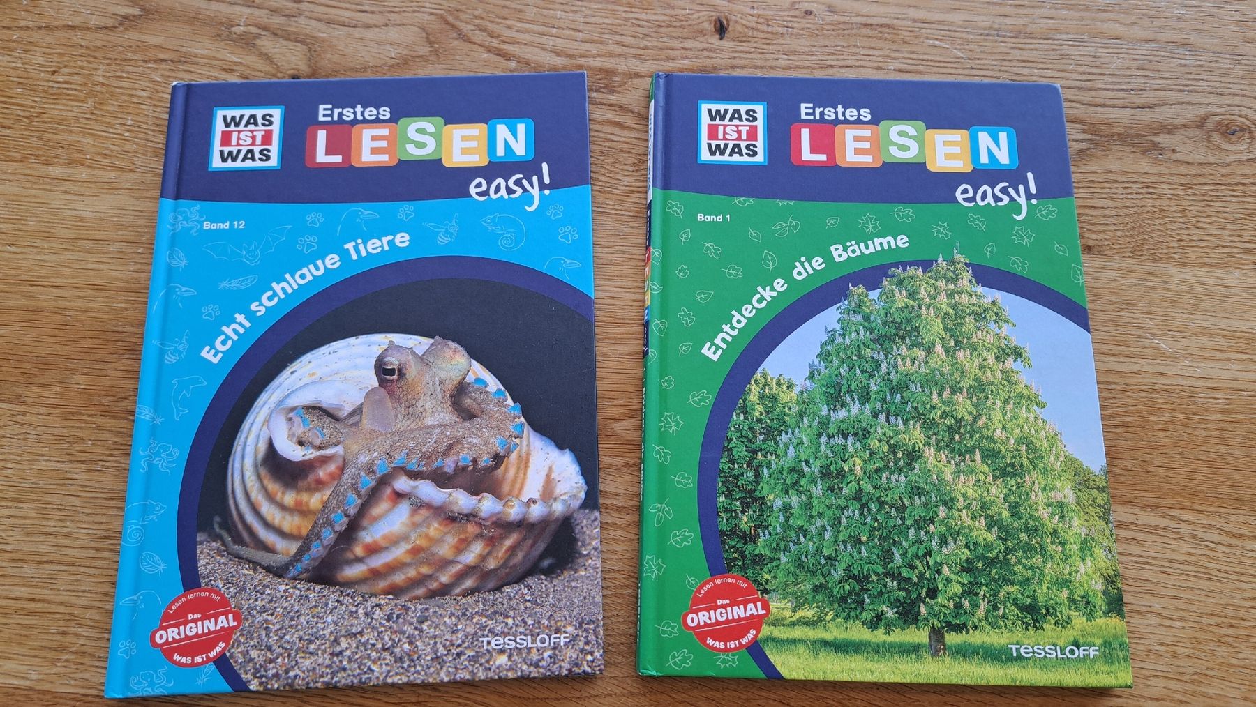 Libri: Wer Ist was Erstes Lesen 1. Klasse – Usato da Mauren venduto da juma0001