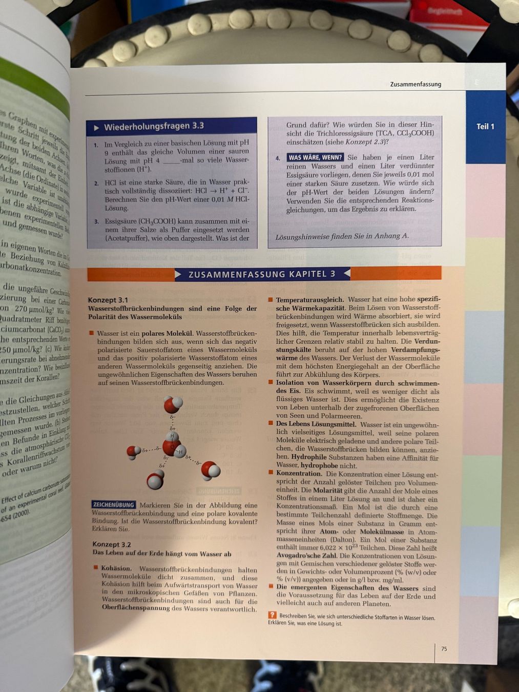 Libri: Campbell Biologie – Usato da Dietikon venduto da Buchantiqdietikon 2