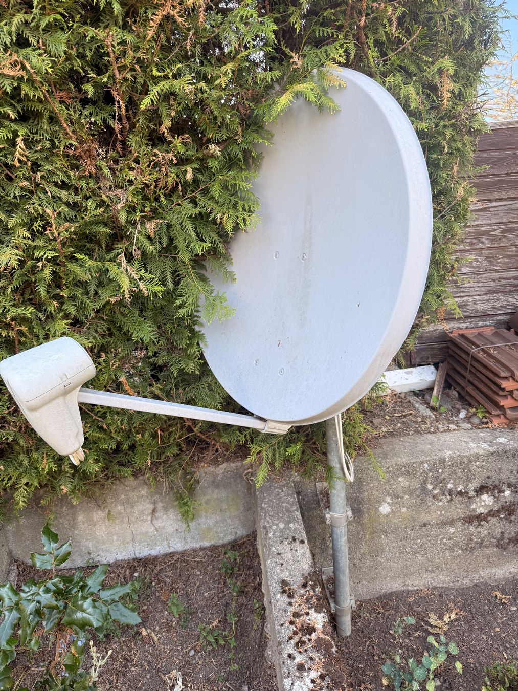 Parabola satellitare: Satellitenschüssel mit 2 LNB, Nokia gebraucht – Usato da Schaffhausen venduto da D-MAC