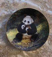 SEHR SCHÖNE 'THE PANDA" VON WILL NELSON