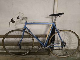 Vintage Schor Rennrad Fritz Wildi - Top Zustand