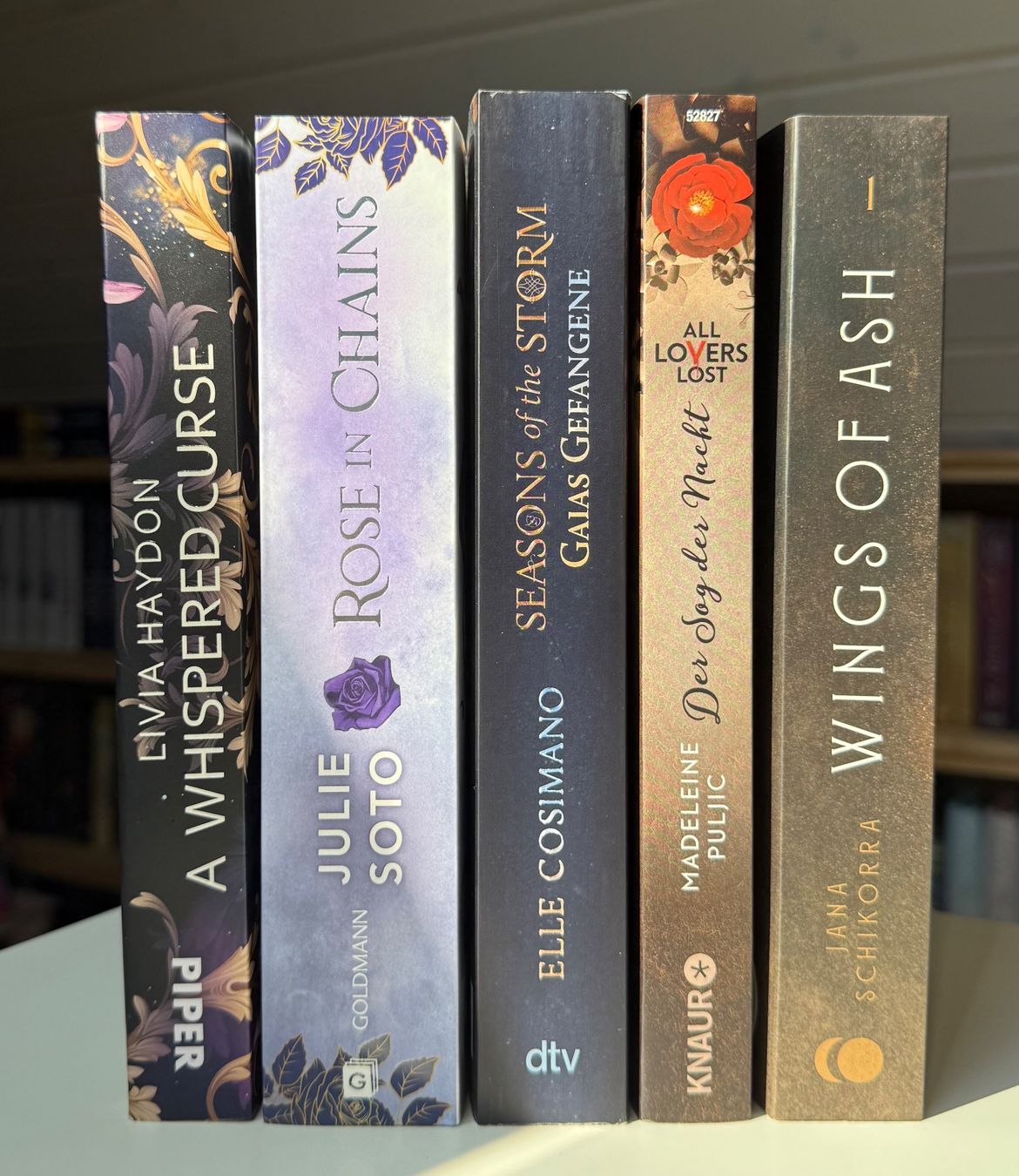 Livres: 5 Fantasy Romane Bücher-Set – Neuf (Voir description) à Eichberg par Lolapop18 1