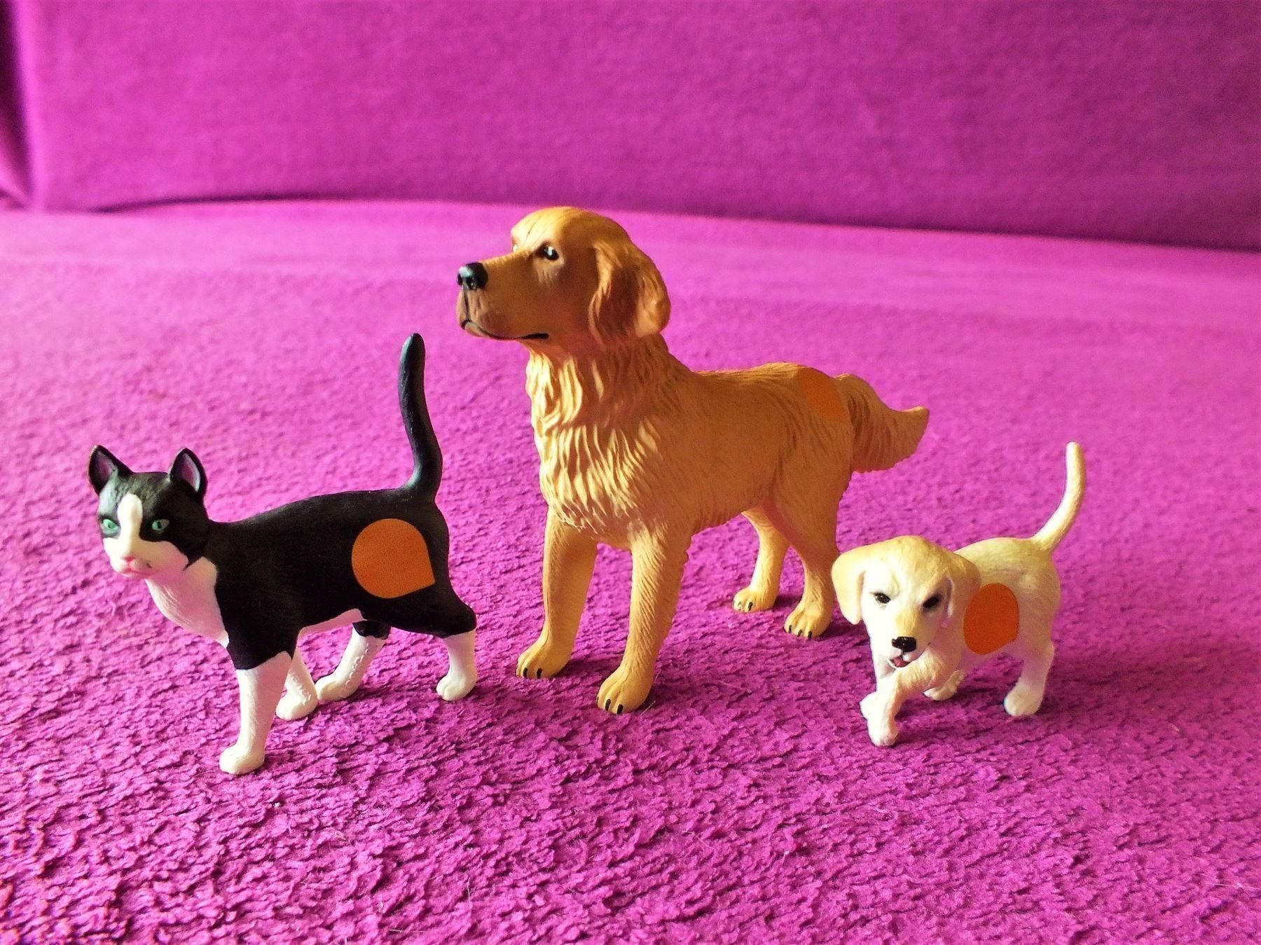 Ravensburger Jeux: tiptoi Tier Hunde Set - Golden Retriever – D'occasion à Müllheim Dorf par Seeeule01 8