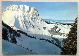 Le Moléson, alt. 2000 m