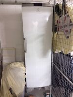 Electrolux SG231N Gefrierschrank, 229 L, No Frost, A++
