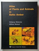 Bernstein: Weitschat, W. / Wichard, W.. Atlas of Plants