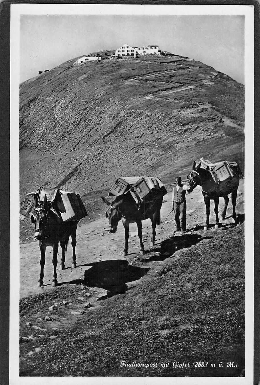 Cartoline postali: ^Faulhornpost 1945 – Usato da Reichenburg venduto da Pipo-67