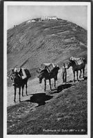 ^Faulhornpost 1945