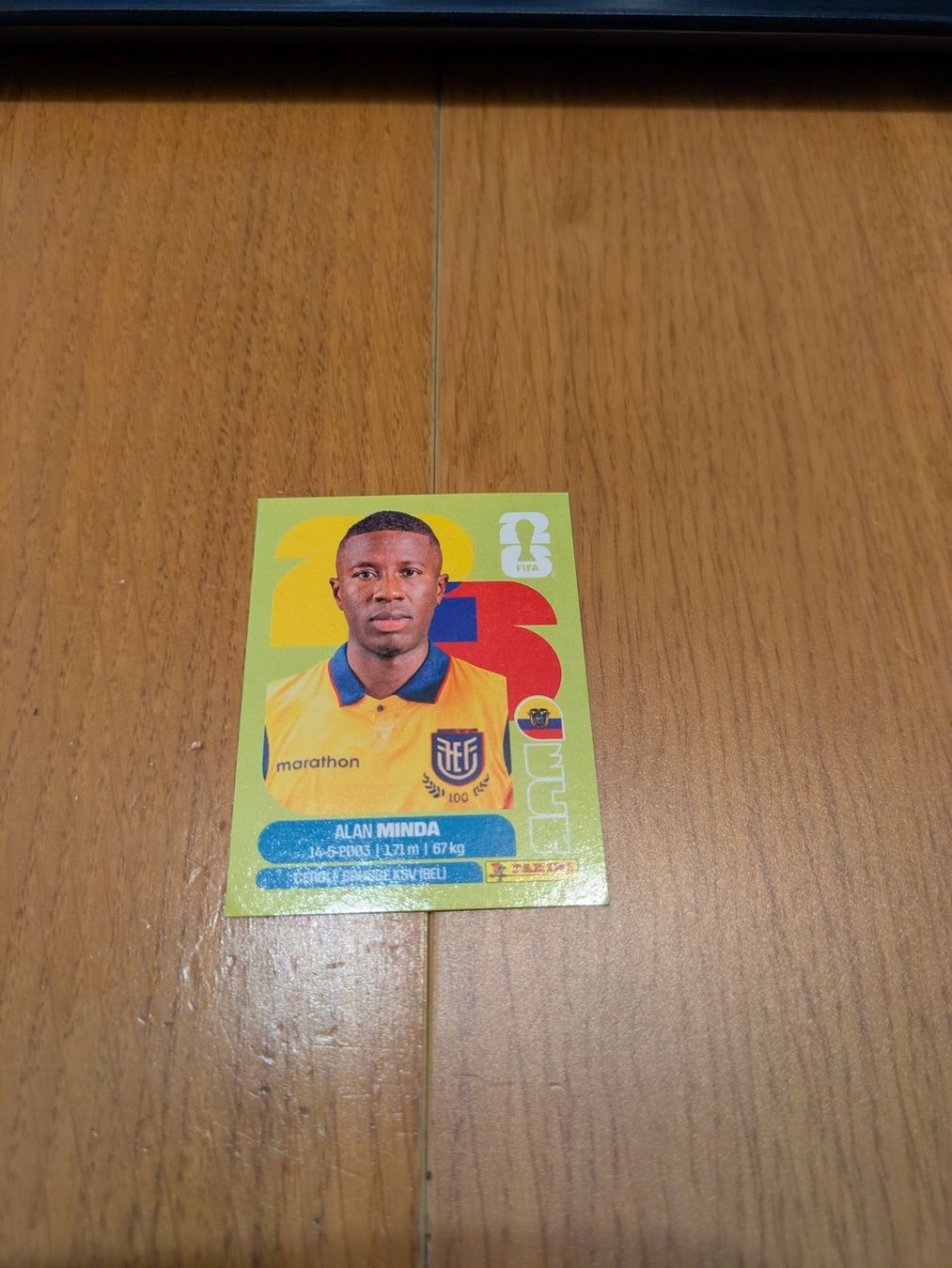 Panini Carte collezionabili: Panini ECU18 – Usato da Liestal venduto da Greg99