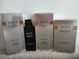 Santos de Cartier en lot