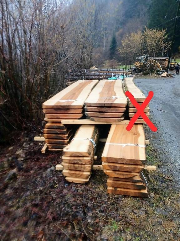 Holzartikel: Eschenbretter und Ulmenbretter – Neu (gemäss Beschreibung) aus Bürglen UR von Ziew
