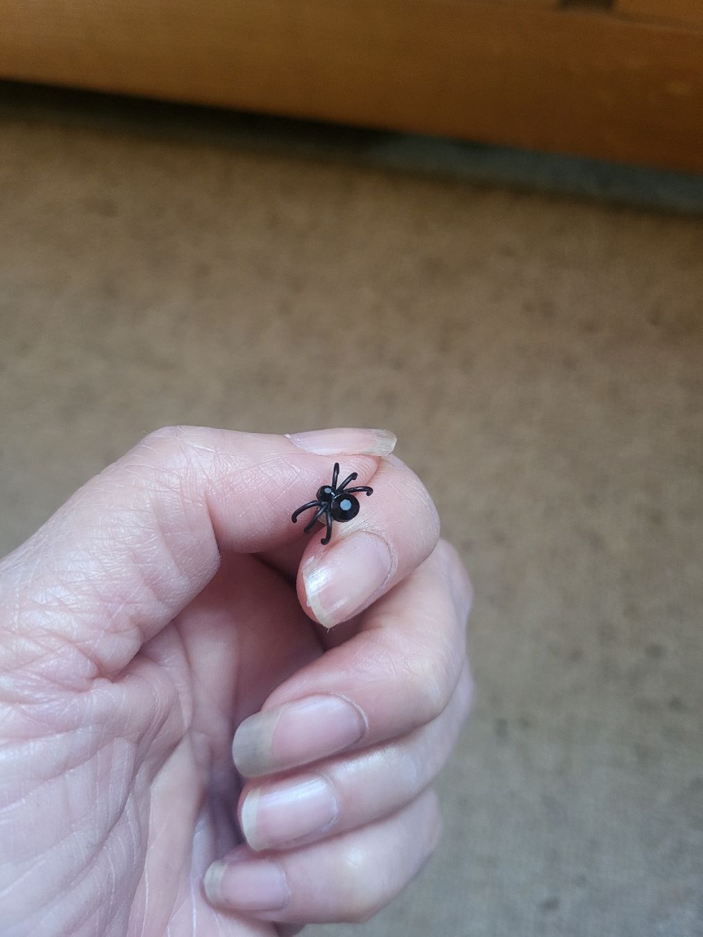 Ohrringe & -stecker: Spider Earrings Black Crystal Web New Condition – Neu und originalverpackt aus Zweisimmen von Adorable 3