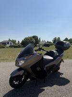 Honda Forza 300 ABS – Très bon état – Expertise récente