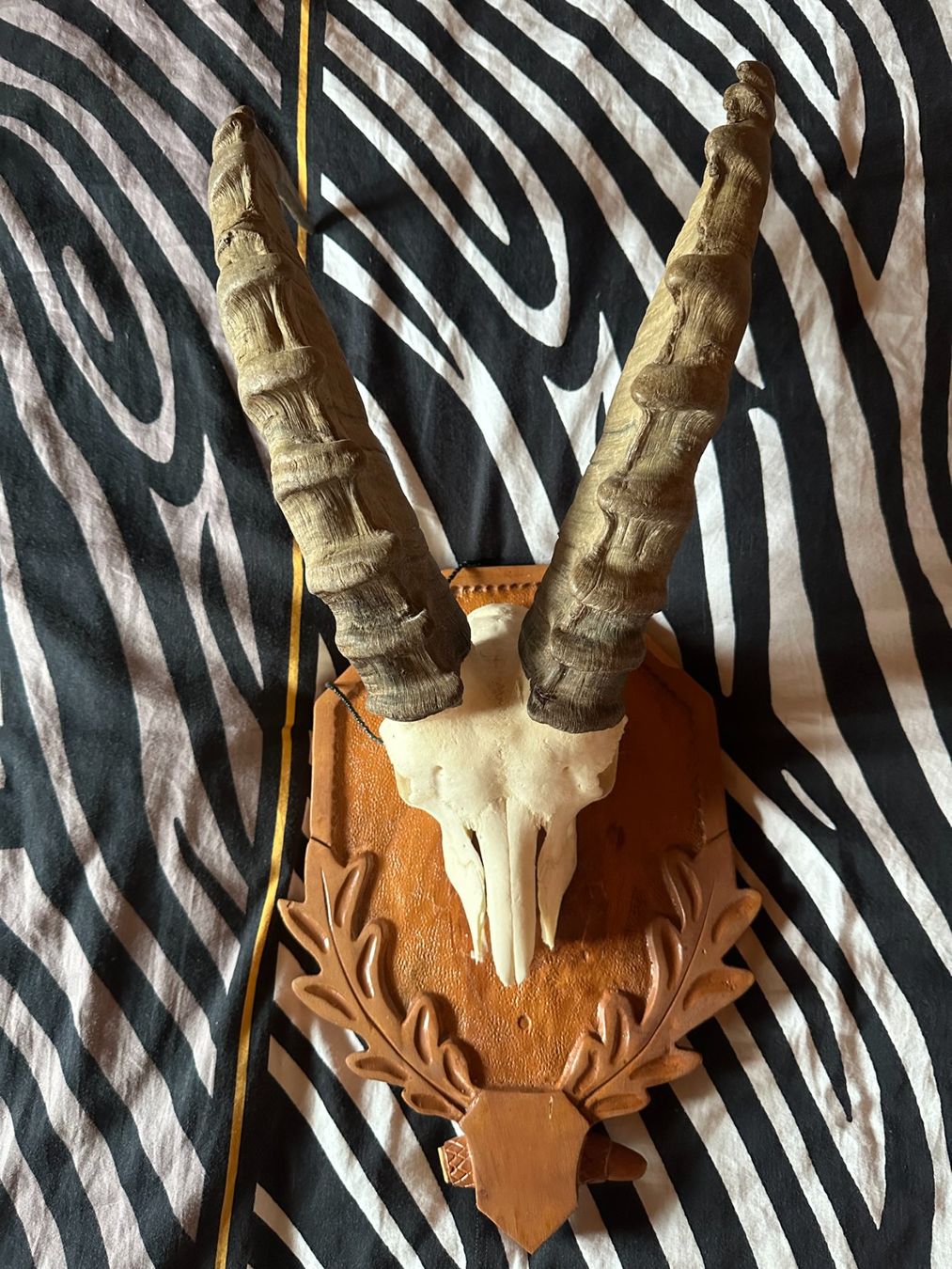Altre raccolte & rarità: Steinbock – Usato da Herbriggen venduto da Faju