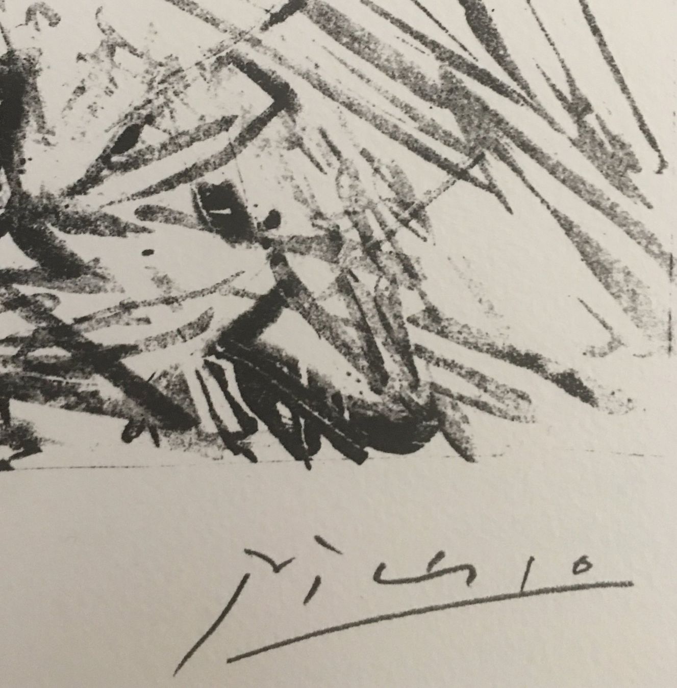 Grafica & Litografie: Pablo Picasso   Buffon  "Le Pigeon" – Usato da Nennigkofen venduto da Sommersonnen 4