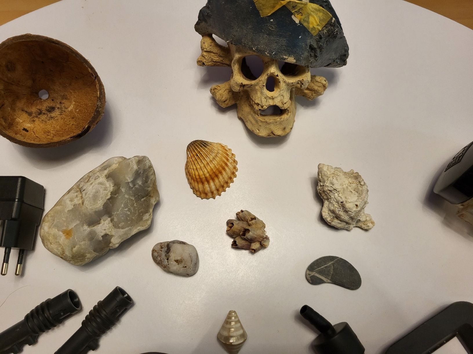 Acquari: Articoli Vari per Acquario – Usato da Gerlafingen venduto da carale256 3