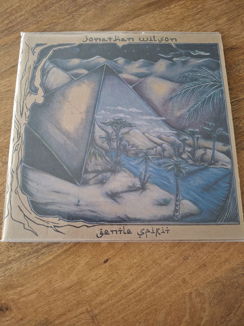 Dischi in vinile: Jonathan Wilson  - Gentle Spirit - LP – Usato da LAUSANNE venduto da DESH3